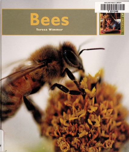 Bees