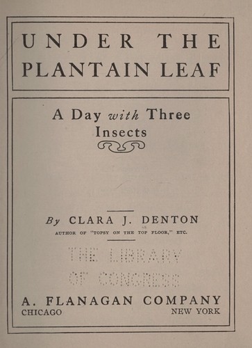 Under the plantain leaf