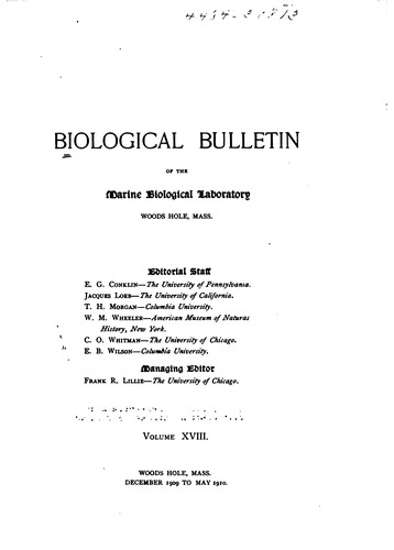 Biological Bulletin