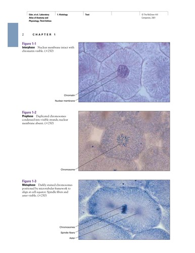 Laboratory atlas of anatomy and physiology