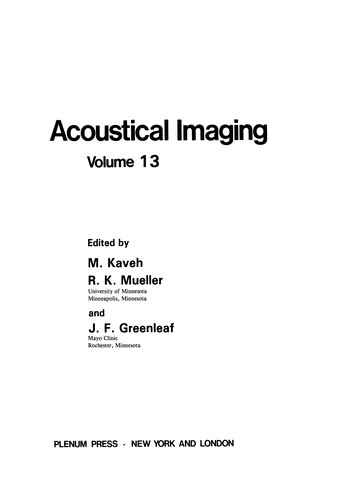 Acoustical Imaging