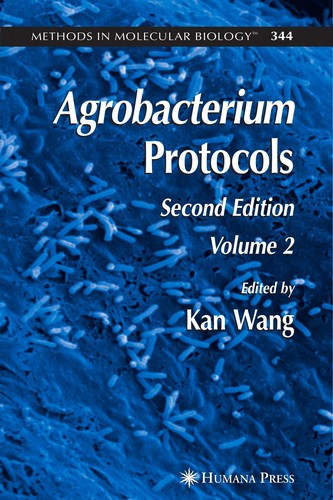 Agrobacterium protocols