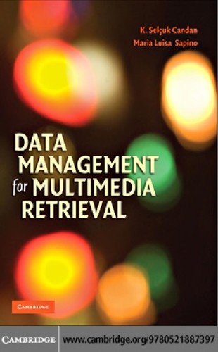 Data management for multimedia retrieval