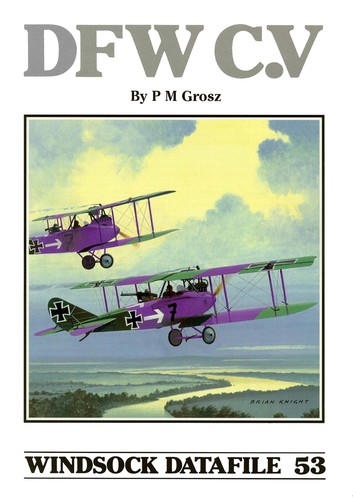DFW C.V