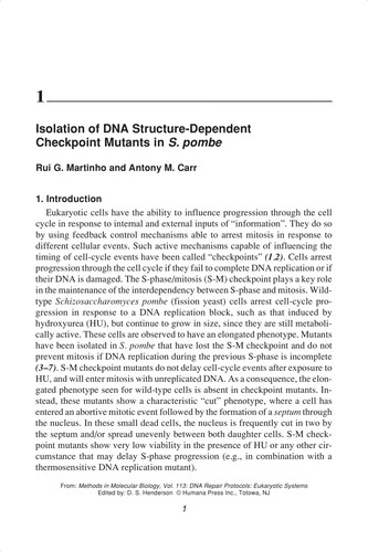 DNA repair protocols