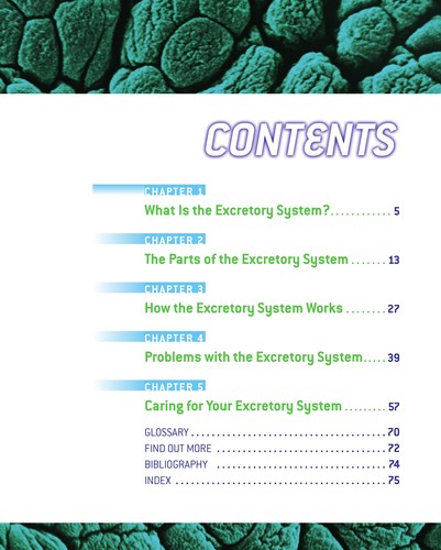 Excretory system