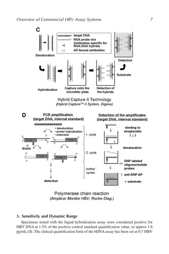 Hepatitis B and D protocols
