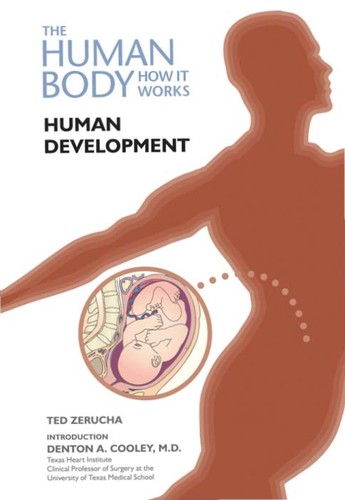 Human development