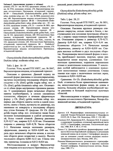 Biostratigrafii͡a i mikroorganizmy fanerozoi͡a Evrazii