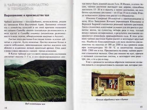 Vsë o chae i chaepitii