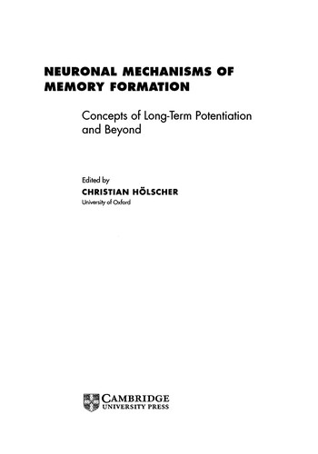 Neuronal mechanisms of memory formation
