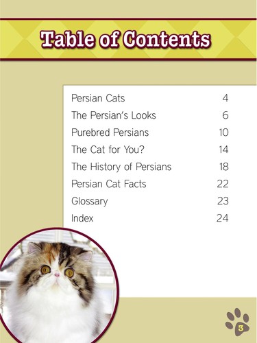 Persian cats
