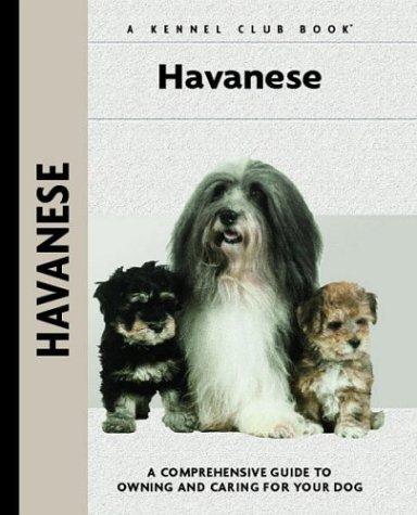 Havanese
