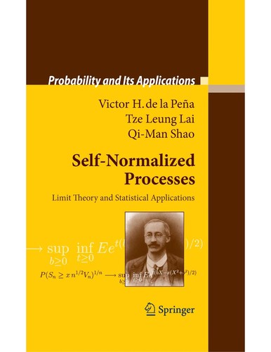 Self-Normalized Processes