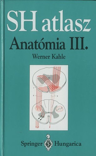 Anato mia