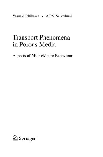 Transport Phenomena in Porous Media