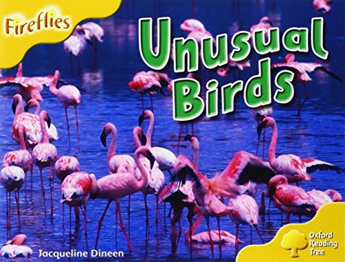 Unusual Birds