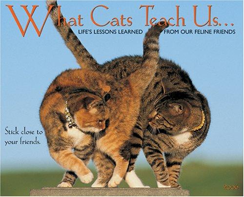 What Cats Teach Us 2006 16-Month Wall Calendar
