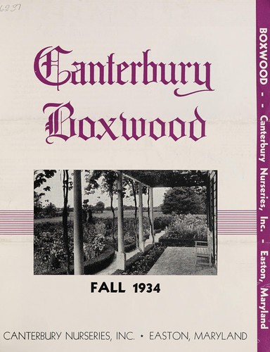 Canterbury boxwood