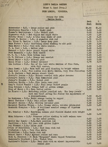 Prices for 1934 dahlia roots