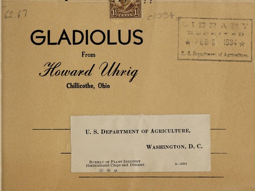 Gladiolus from Howard Uhrig