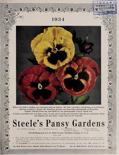 Steele's Pansy Gardens