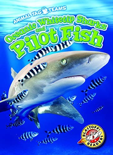 Oceanic Whitetip Sharks and Pilot Fish