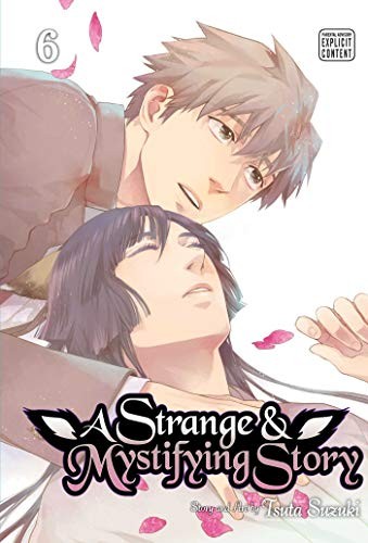 A Strange and Mystifying Story, Vol. 6
