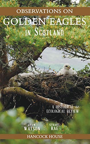 Observations of Golden Eagles in Scotland