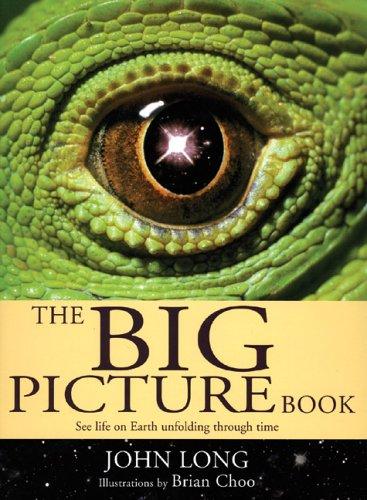 The big picture book