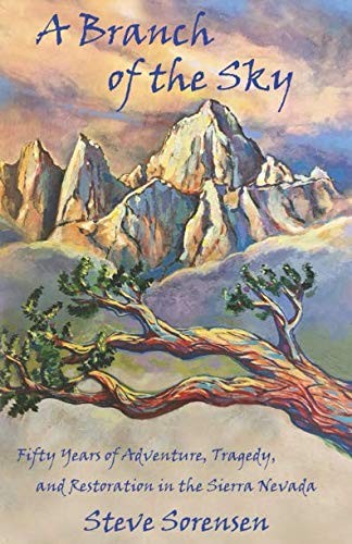 A Branch of The Sky