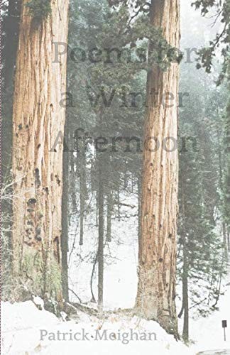 Poems for a Winter Afternoon