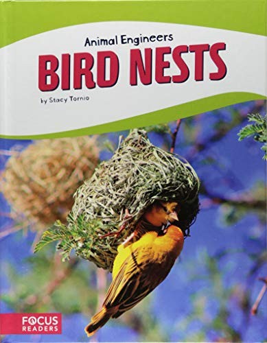Bird Nests