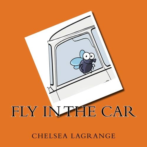 Fly in the car