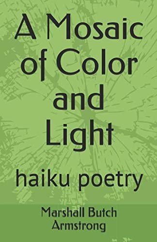 A Mosaic of Color and Light