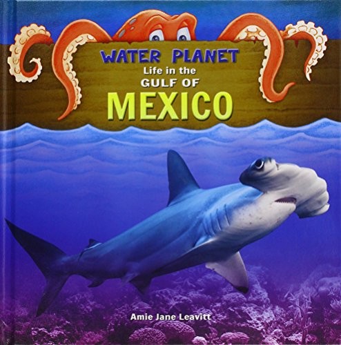 Life in the Gulf of Mexico