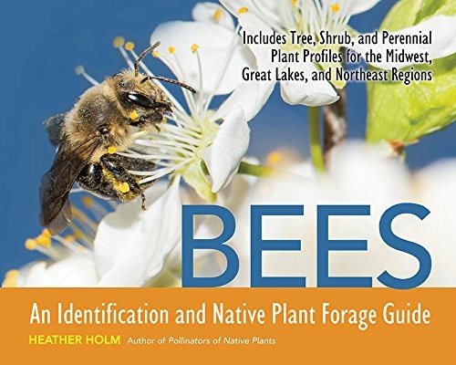 Bees