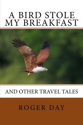 A bird stole my breakfast