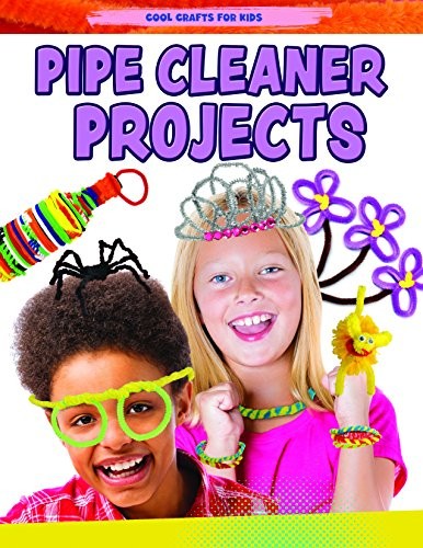 Pipe Cleaner Projects