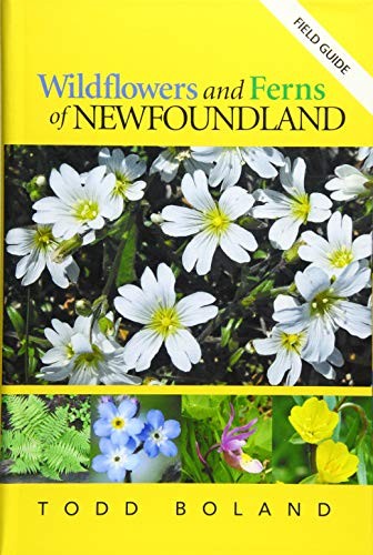 Wildflowers and Ferns of Newfoundland and Labrador