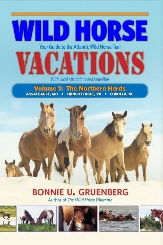 Wild Horse Vacations