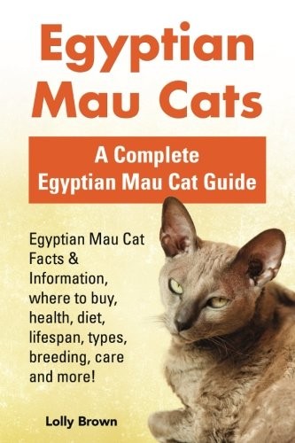 Egyptian Mau Cats