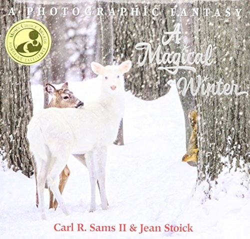 A Magical Winter