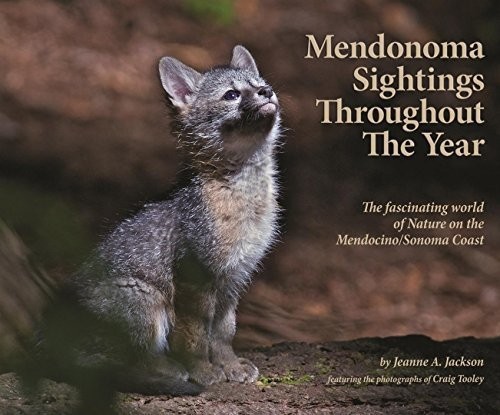 Mendonoma Sightings Throughout the Year