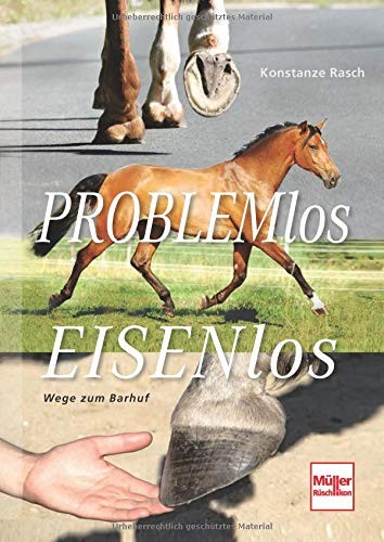 Problemlos Eisenlos