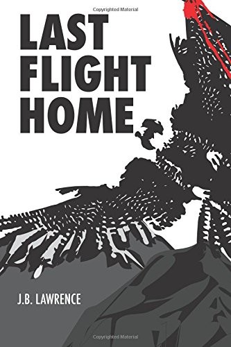 Last Flight Home
