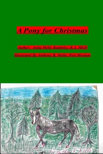 A Pony for Christmas