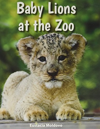 Baby Lions at the Zoo