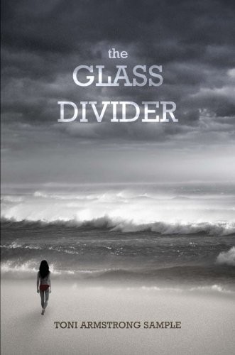 The Glass Divider