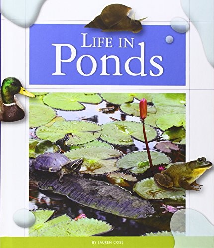 Life in Ponds